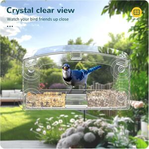 Clear Window Bird Feeder With Strong Suction Cups for Outside Mounting - New